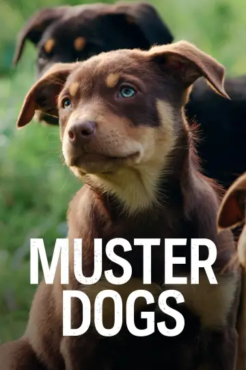 Постер до серіалу "Muster Dogs" #1609062
