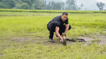 Задник до серіалу "David Blaine: Do Not Attempt" #1538633