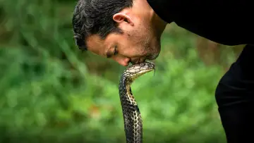 Задник до серіалу "David Blaine: Do Not Attempt" #1538636