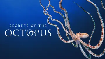 Задник до серіалу "Secrets of the Octopus" #1805943