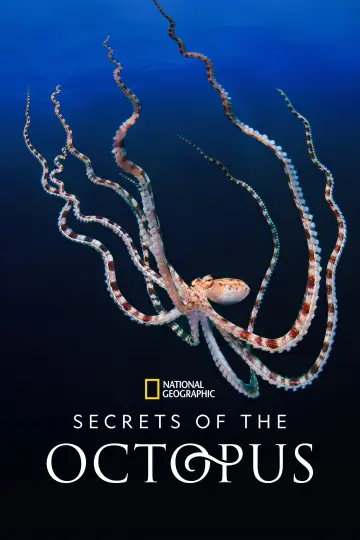 Постер до серіалу "Secrets of the Octopus" #1805956