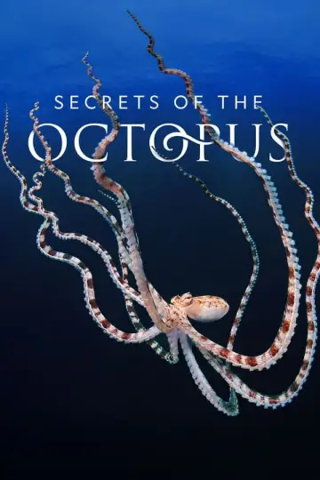 Постер до серіалу "Secrets of the Octopus" #1806050