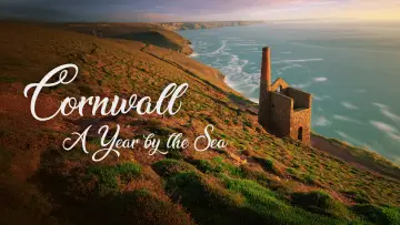 Задник до серіалу "Cornwall: A Year by the Sea" #1510901