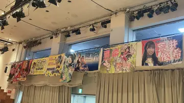 Задник до серіалу "東京女子プロレス" #1316741