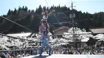 Задник до серіалу "東京女子プロレス" #1316750