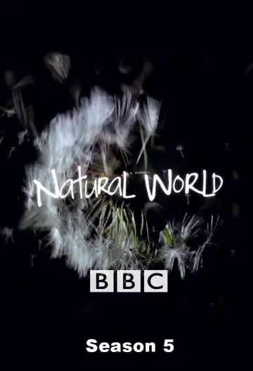 Сезон 5
