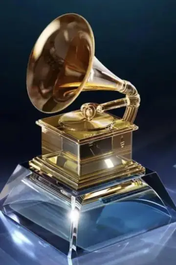 Постер к сериалу "The Grammys" #1503059