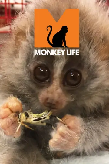 Постер до серіалу "Monkey Life" #1542381