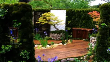 Задник до серіалу "RHS Chelsea Flower Show" #1548005