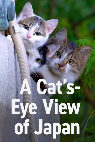 Постер до серіалу "A Cat