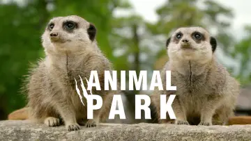 Задник до серіалу "Animal Park" #1342979