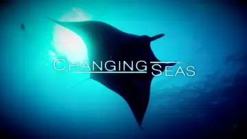 Задник до серіалу "Changing Seas" #1398008