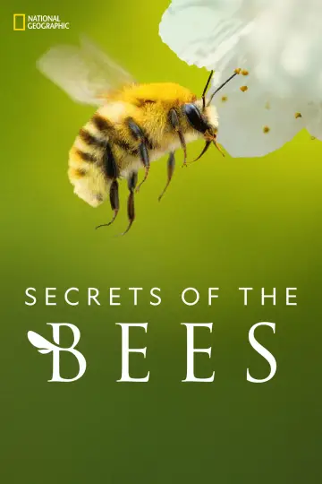 Постер до серіалу "Secrets of the Bees" #1481084