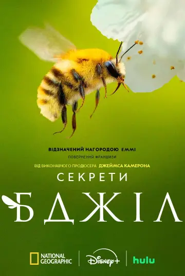 Secrets of the Bees постер