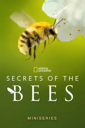 Постер до серіалу "Secrets of the Bees" #1481086