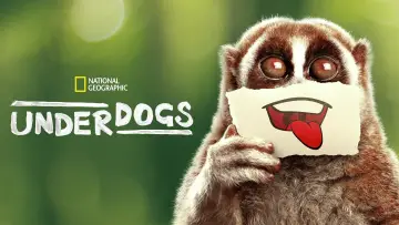 Задник до серіалу "Underdogs" #1603628