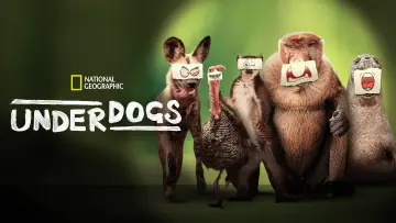 Задник до серіалу "Underdogs" #1603629