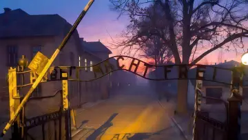 Задник до серіалу "Татуювальник Аушвіцу" #1849928