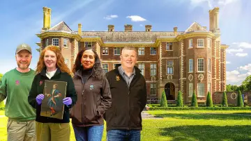 Задник до серіалу "Hidden Treasures of the National Trust" #1669590