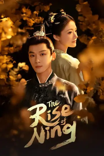锦绣安宁 постер