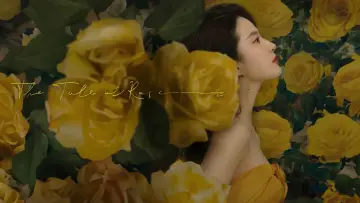 Задник до серіалу "玫瑰的故事" #1546439