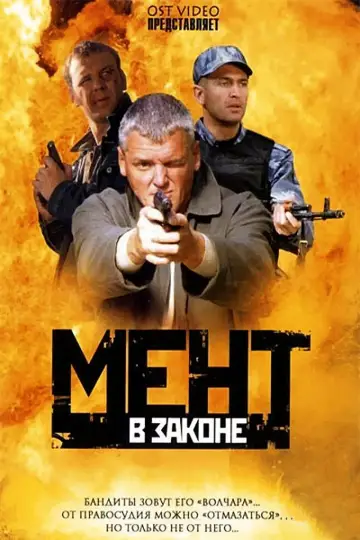 Поліцейський за законом