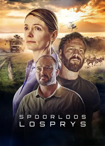 Spoorloos постер