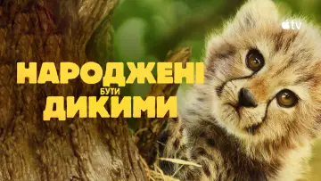Задник до серіалу "Народжені бути дикими" #1503637