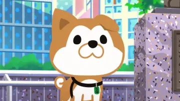 SHIBUYA♡HACHI постер