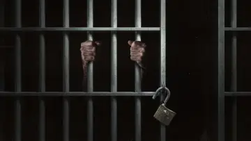 Задник до серіалу "Незамкнені: Експеримент у в