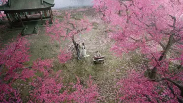 Задник до серіалу "水龙吟" #1433562