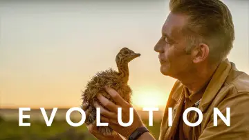 Задник до серіалу "Evolution" #1601090