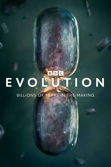 Evolution постер