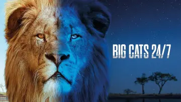 Задник до серіалу "Big Cats 24/7" #1491421