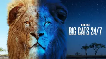 Задник до серіалу "Big Cats 24/7" #1491422