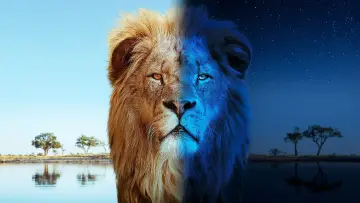 Задник до серіалу "Big Cats 24/7" #1491423