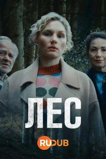 Постер до серіалу "Wäldern" #1673540