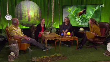 Studio Natur постер