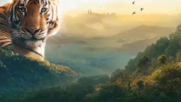 Задник к сериалу "Asia" #1479708