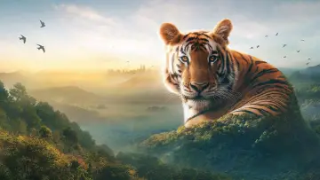 Задник к сериалу "Asia" #1479709