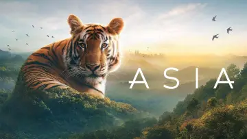 Задник к сериалу "Asia" #1479710