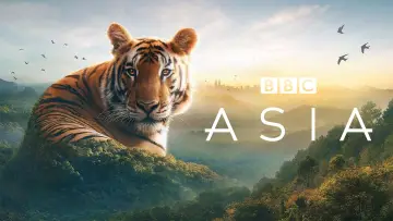 Задник к сериалу "Asia" #1479711