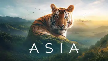 Задник к сериалу "Asia" #1479712