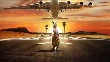 Задник до серіалу "Airport 24/7" #1605921
