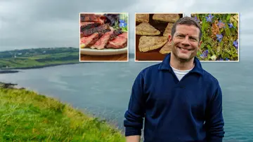 Задник до серіалу "Dermot O