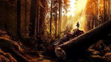 Задник до серіалу "The Last Woodsmen" #1477405