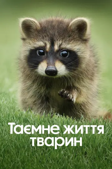 Таємне життя тварин (2024)