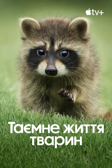 Постер до серіалу "Таємне життя тварин" #1490889