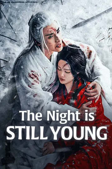 夜未央 постер