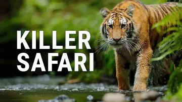 Задник до серіалу "Killer Safari" #1669027